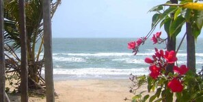 Windsurfen, Volleyball, Rudern/Kanufahren