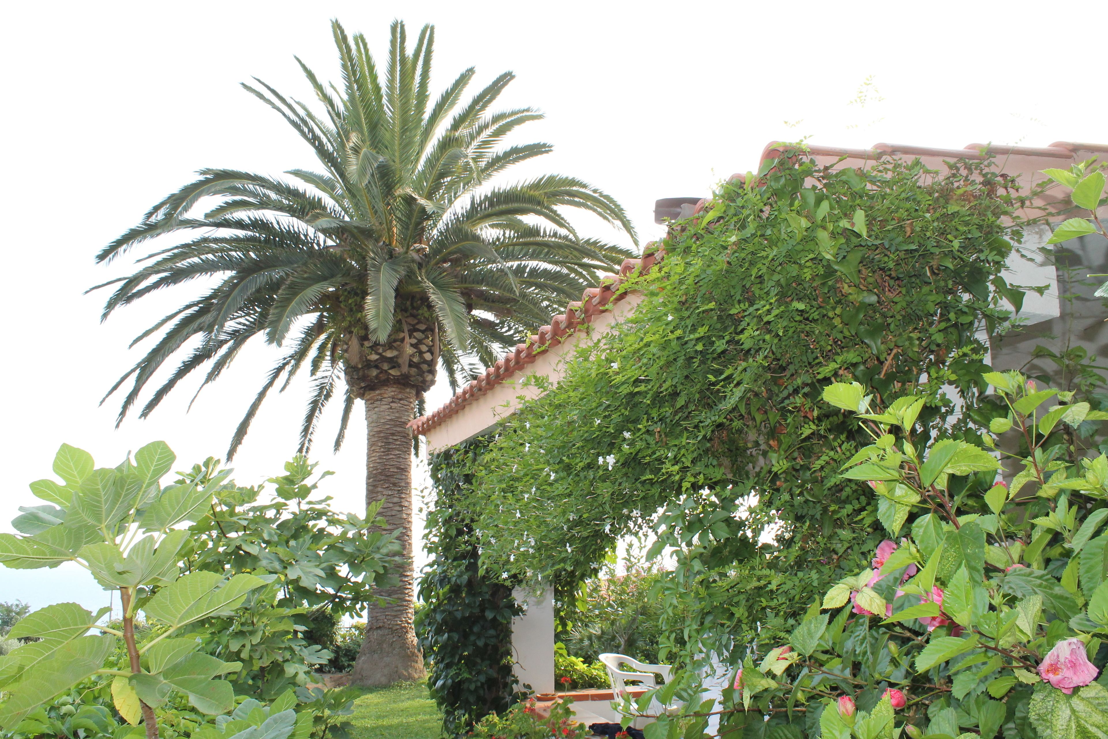 Basic Apartment (Trilo 6 pax) | Premium bedding, minibar, in-room safe, iron/ironing board