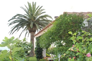 Basic Apartment (Trilo 6 pax)