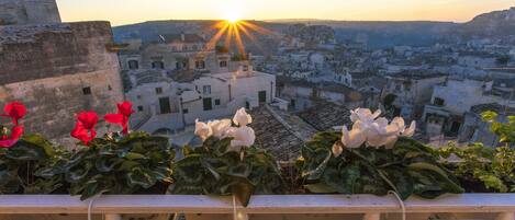 Vista desde la propiedad