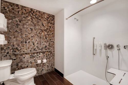 Room, 2 Queen Beds, Accessible (Roll In Shower) | Bathroom | Designer toiletries, hair dryer, towels, toilet paper