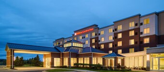 Hilton Garden Inn Detroit Troy