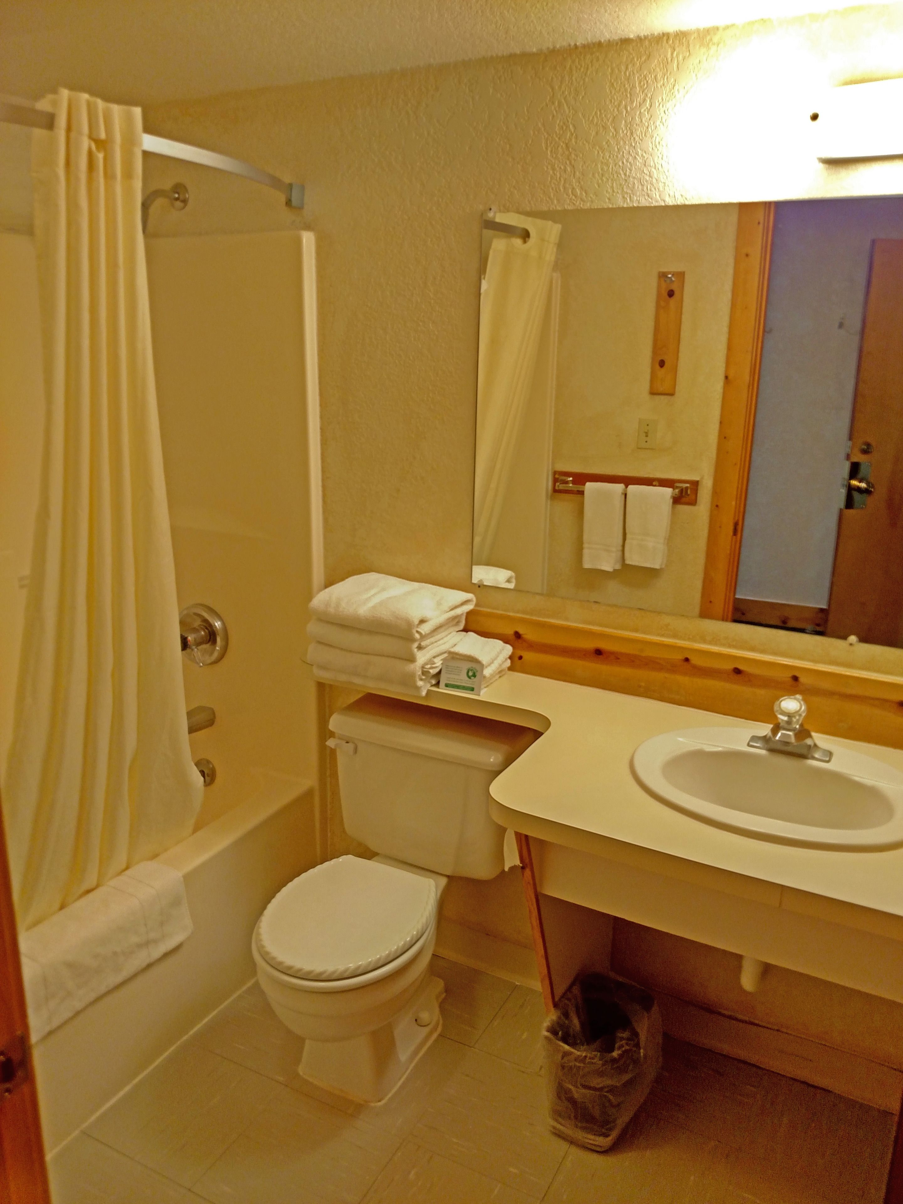 combined shower/bathtub, hair dryer, towels