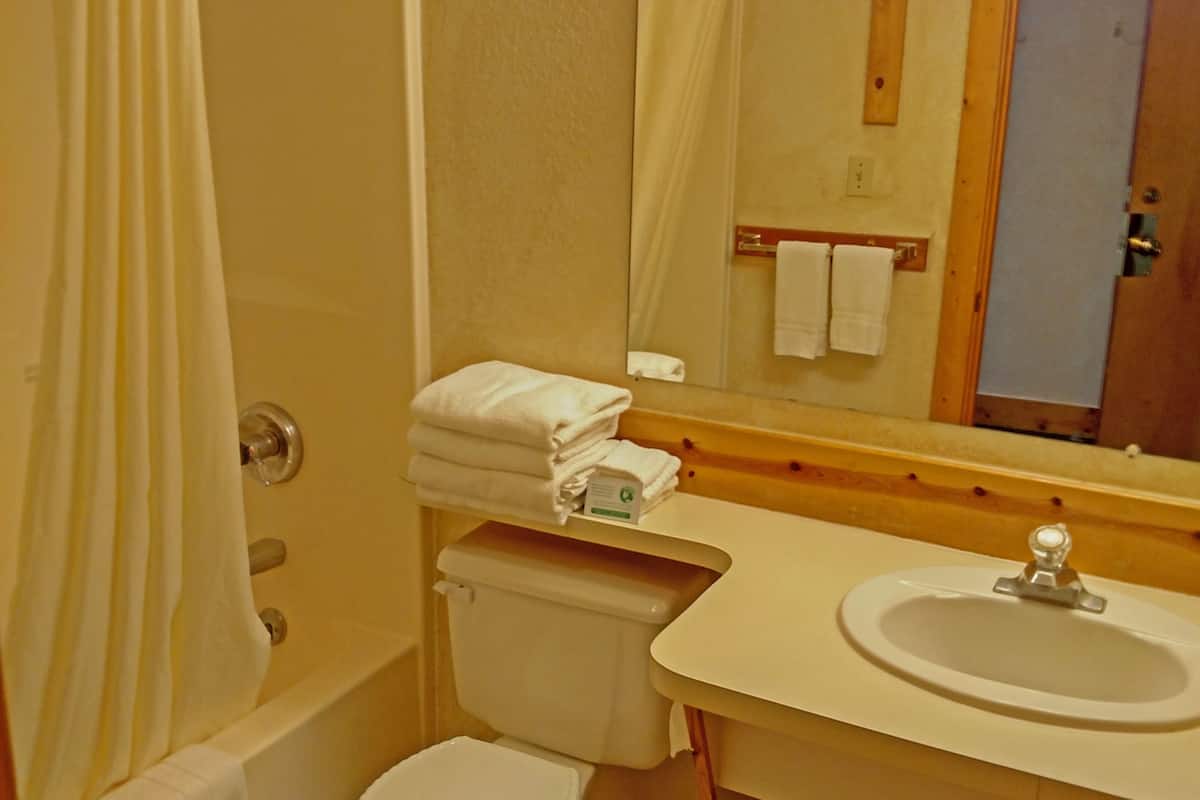 combined shower/bathtub, hair dryer, towels