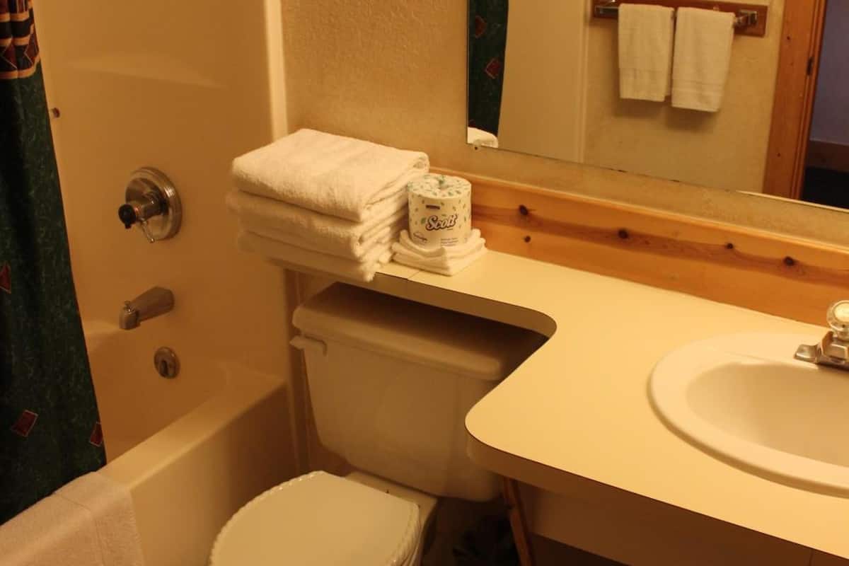 combined shower/bathtub, hair dryer, towels