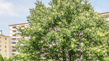 Camera doppia, 1 camera da letto | Vista dalla camera