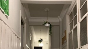 A hallway with a striped carpet, white walls, and a hanging plant. - Zentric Hostel (León)