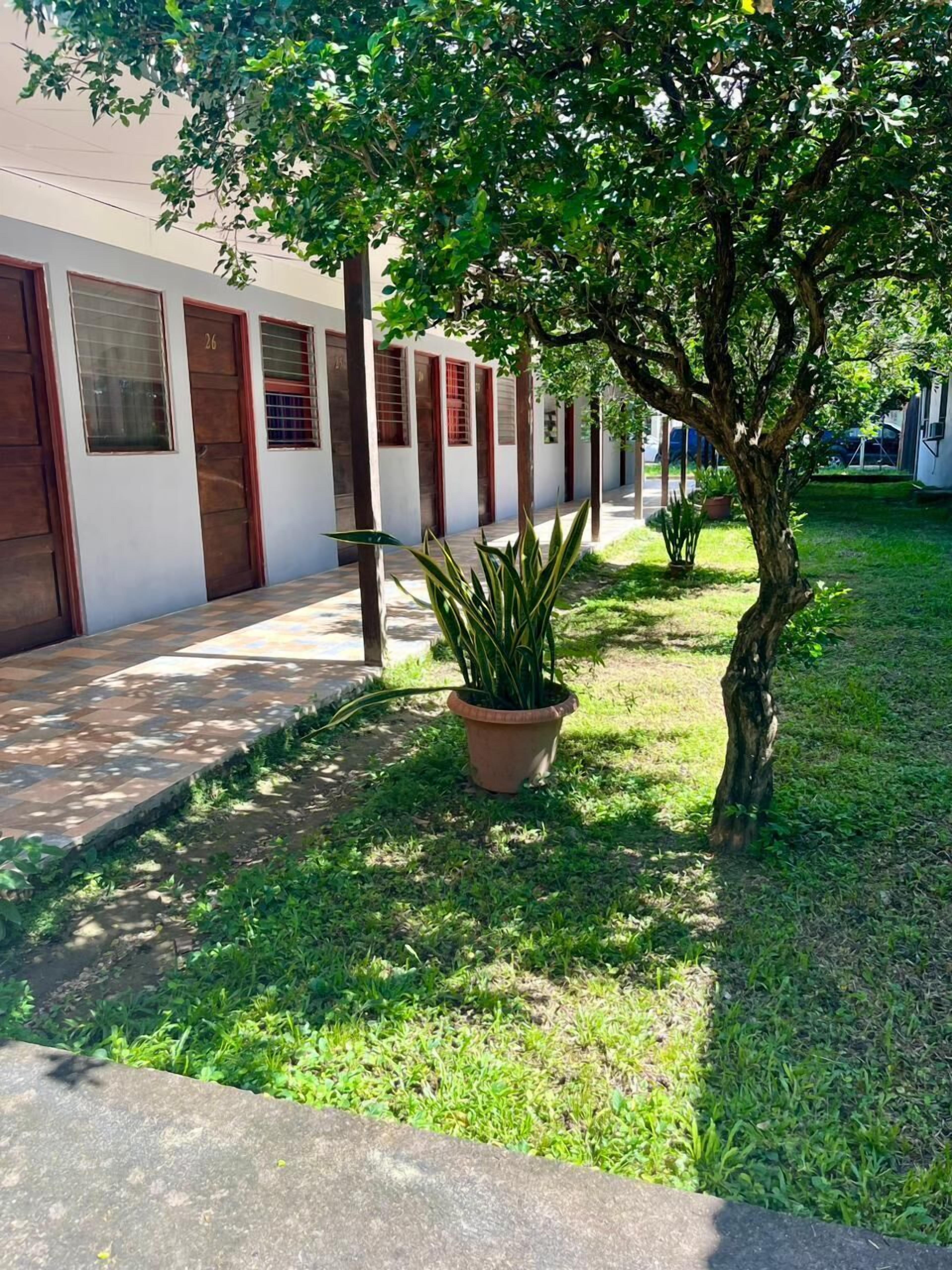 A pathway leading to a building with numbered doors, a grassy area with a potted plant, and a tree.