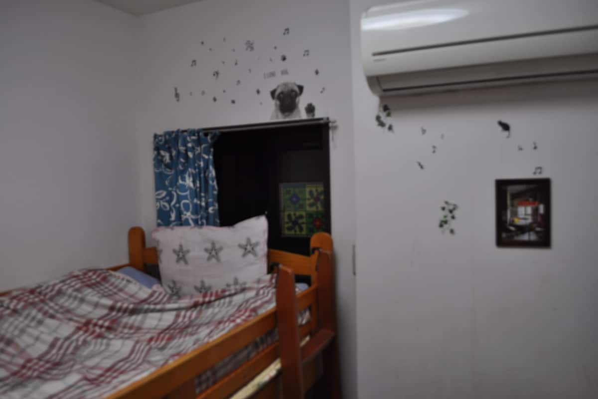Standard Single Room – Caters to Women | Desk, free WiFi