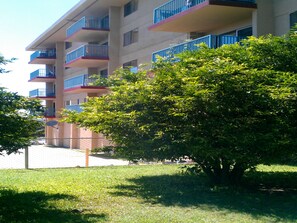 مدخل المنشأة