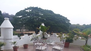 Una terraza con sillas y mesas de metal blanco, rodeada de plantas en macetas y un gran árbol al fondo.
