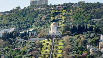 Vista desde la cima de una colina de un edificio histórico con cúpula, rodeado de exuberantes jardines y edificios residenciales.