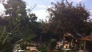 Un jardín con un sendero de piedra, una construcción con techo de paja y diversas plantas.