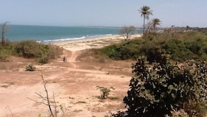 Camino costero que lleva a una playa con vegetación escasa y un cielo despejado.