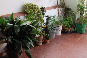 Terraza en la azotea