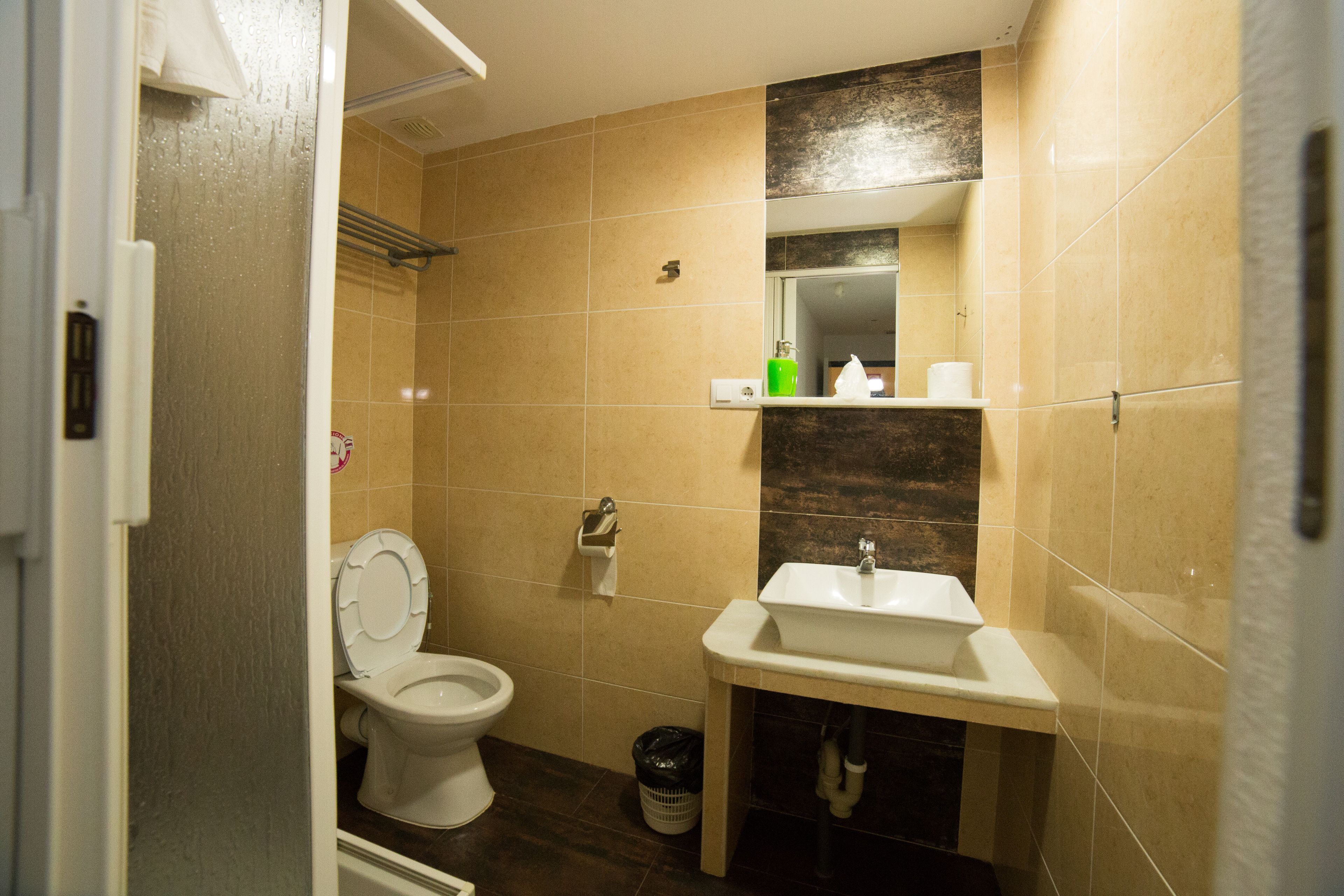 A bathroom with a toilet, sink, and mirror.