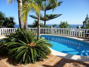 A swimming pool with a white fence, surrounded by palm trees and a view of the ocean. - La Perla de Torrenueva (Mijas)