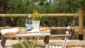 A picnic setup with bread, wine, and a potted plant on a table. - Casale la Macina Hotel & Residence (Castellammare del Golfo)