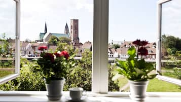 Vista desde la habitación