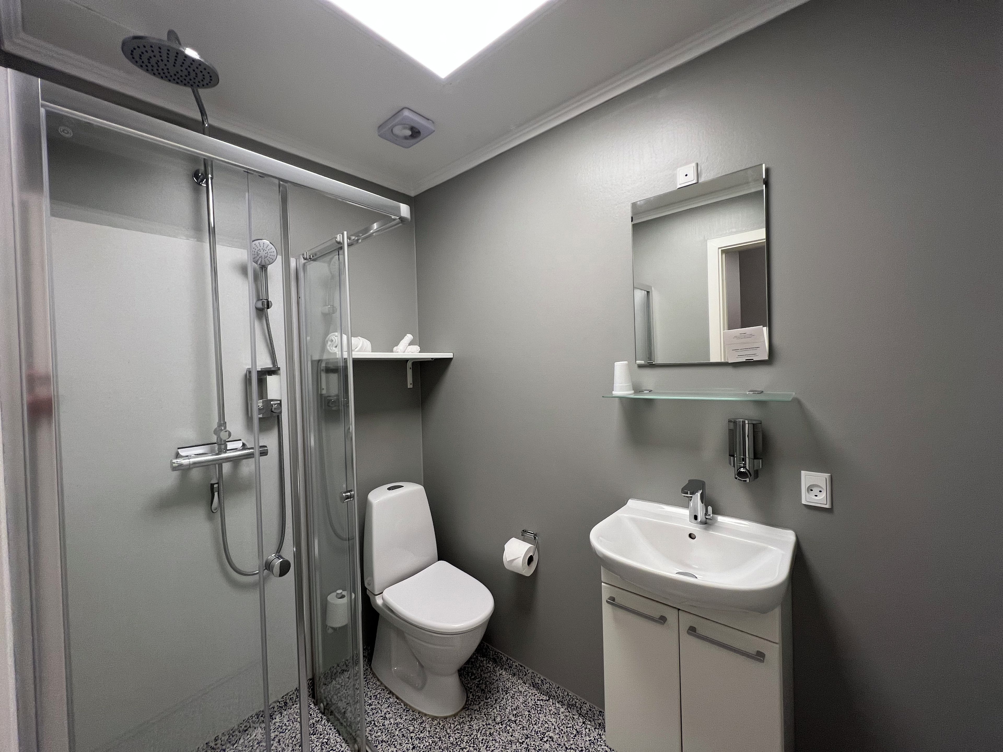 A bathroom with a glass-enclosed shower, a toilet, a sink, and a mirror.