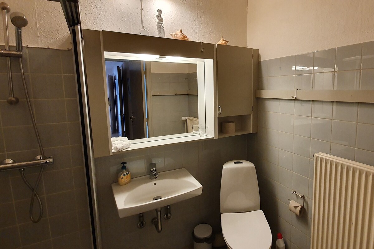Un bagno con doccia, lavandino, servizi igienici e specchio sopra il lavandino.