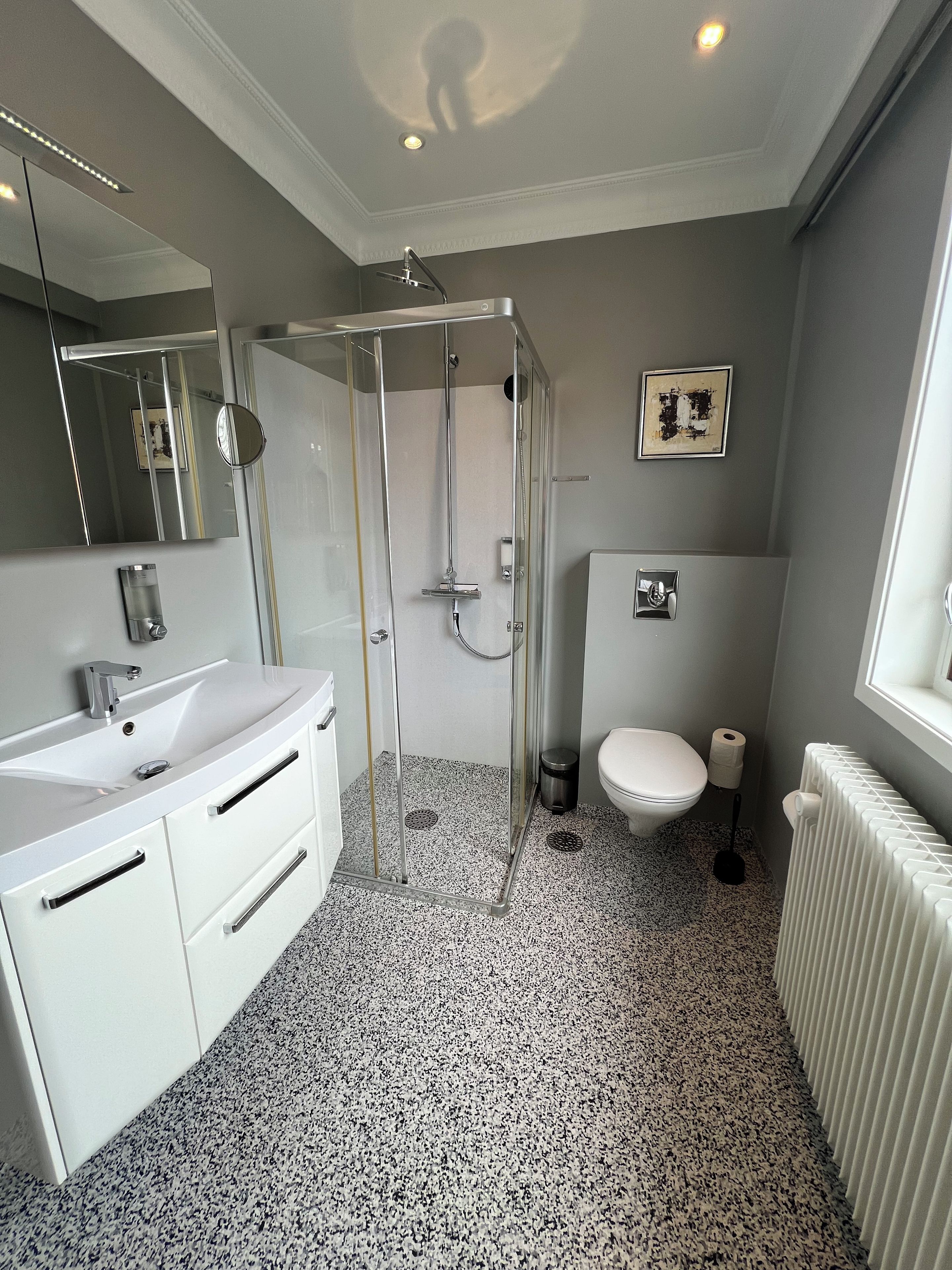 A bathroom with a shower enclosure, a toilet, a sink, and a mirror.