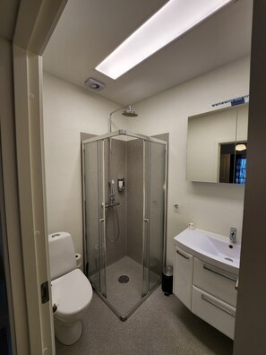 A modern bathroom with a glass-enclosed shower, a toilet, a sink with a mirror, and a trash bin. - Det Gamle Rådhus (Grasten)