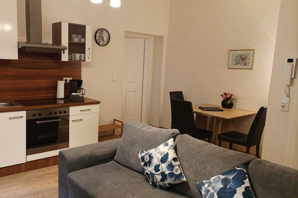 Standard-Apartment, Küche, Gartenblick | Eigene Küche | Großer Kühlschrank, Mikrowelle, Herdplatte, Geschirrspüler