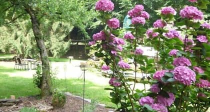 Wald Villa Üssbach