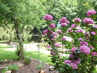Wald Villa Üssbach