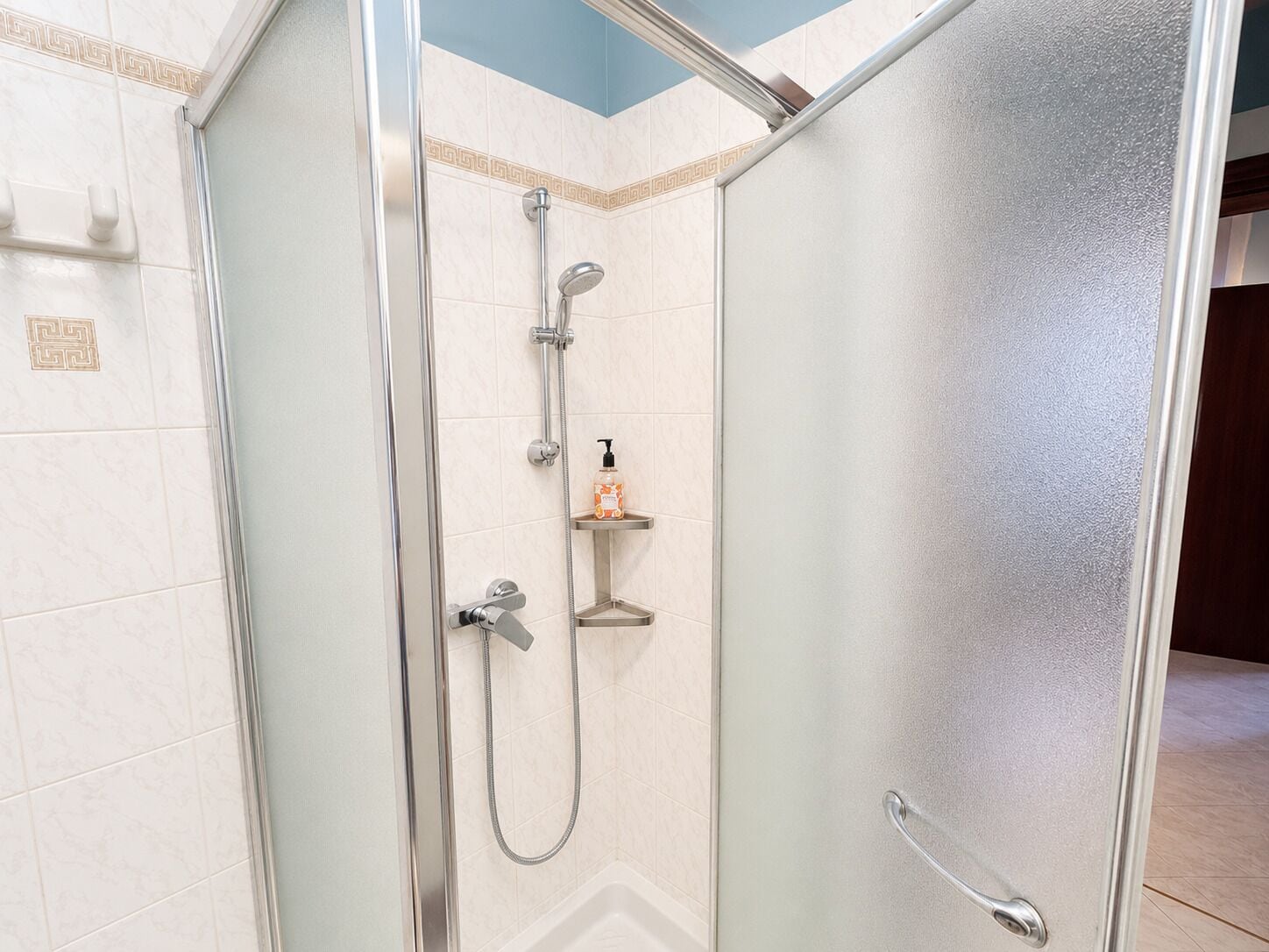 Une douche avec une porte en verre, un pommeau de douche à main et un distributeur de savon fixé sur une étagère.