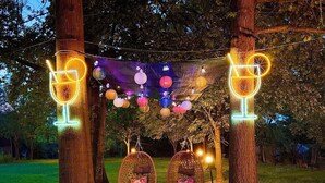 Columpios atados a un árbol con sillas colgantes, luces de cuerda y formas de vidrio iluminadas.