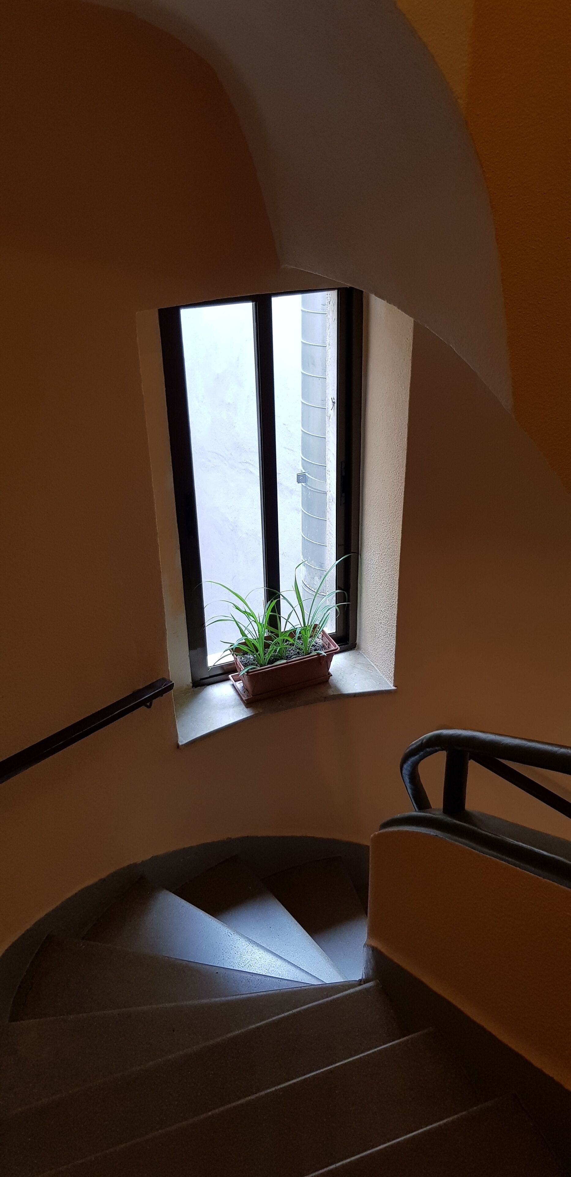 Photo - Pension Salamanca