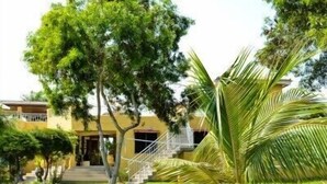 Jardín
