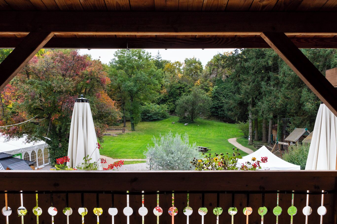 Une vue depuis une terrasse en bois, avec une pelouse et des arbres en arrière-plan.