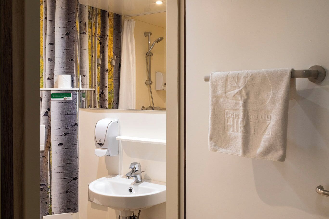 Un baño con lavamanos, espejo y toallero.