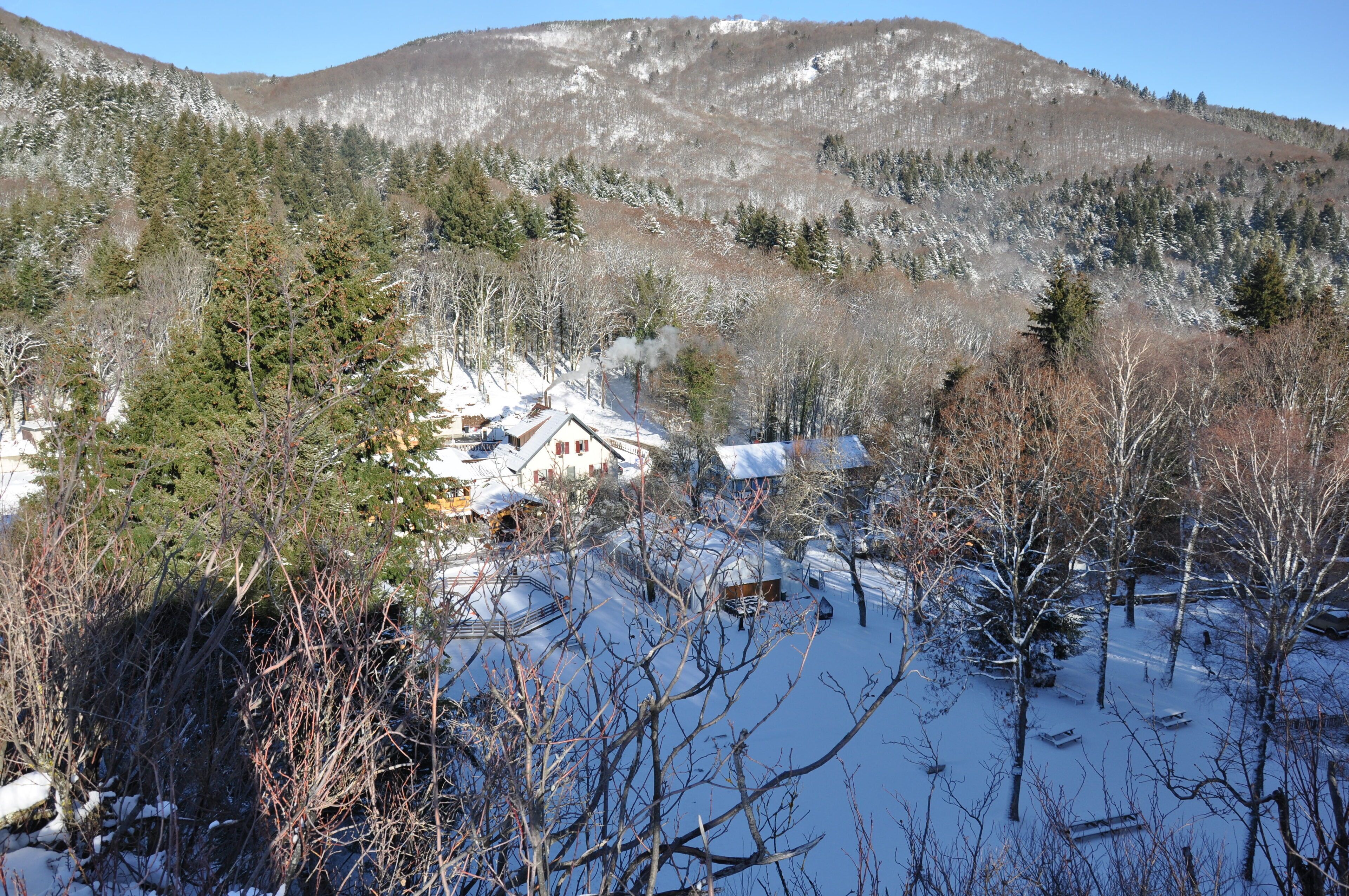 Una cabaña rodeada de árboles y montañas cubiertas de nieve.