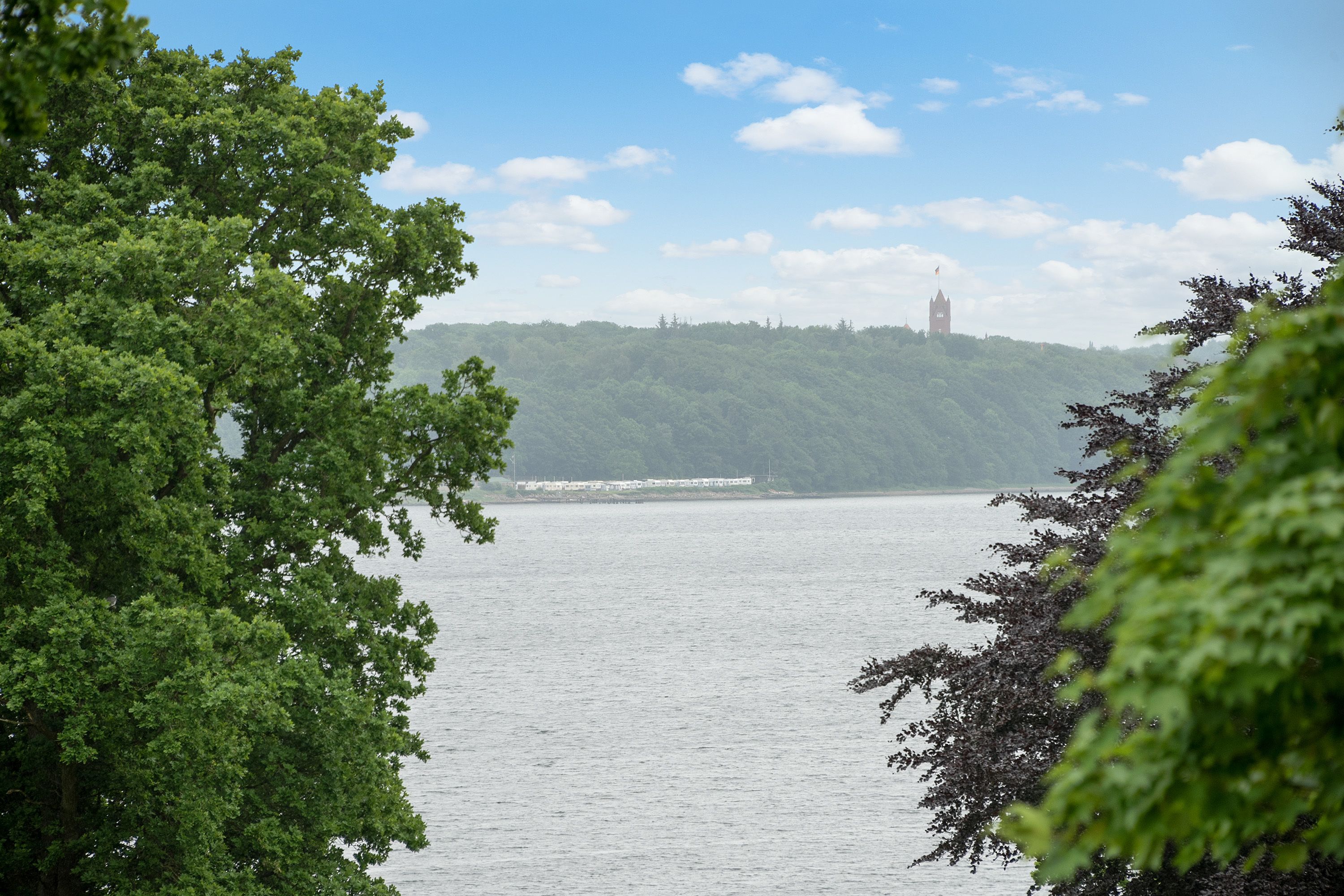 Een uitzicht op een meer met een kasteel in de verte op een heuvel, omgeven door dichte groene bomen.