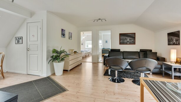 A spacious living area with a sofa, chairs, a coffee table, and a dining table. There is a potted plant and a white cabinet. - Bjerndrup Apartments (Aabenraa)