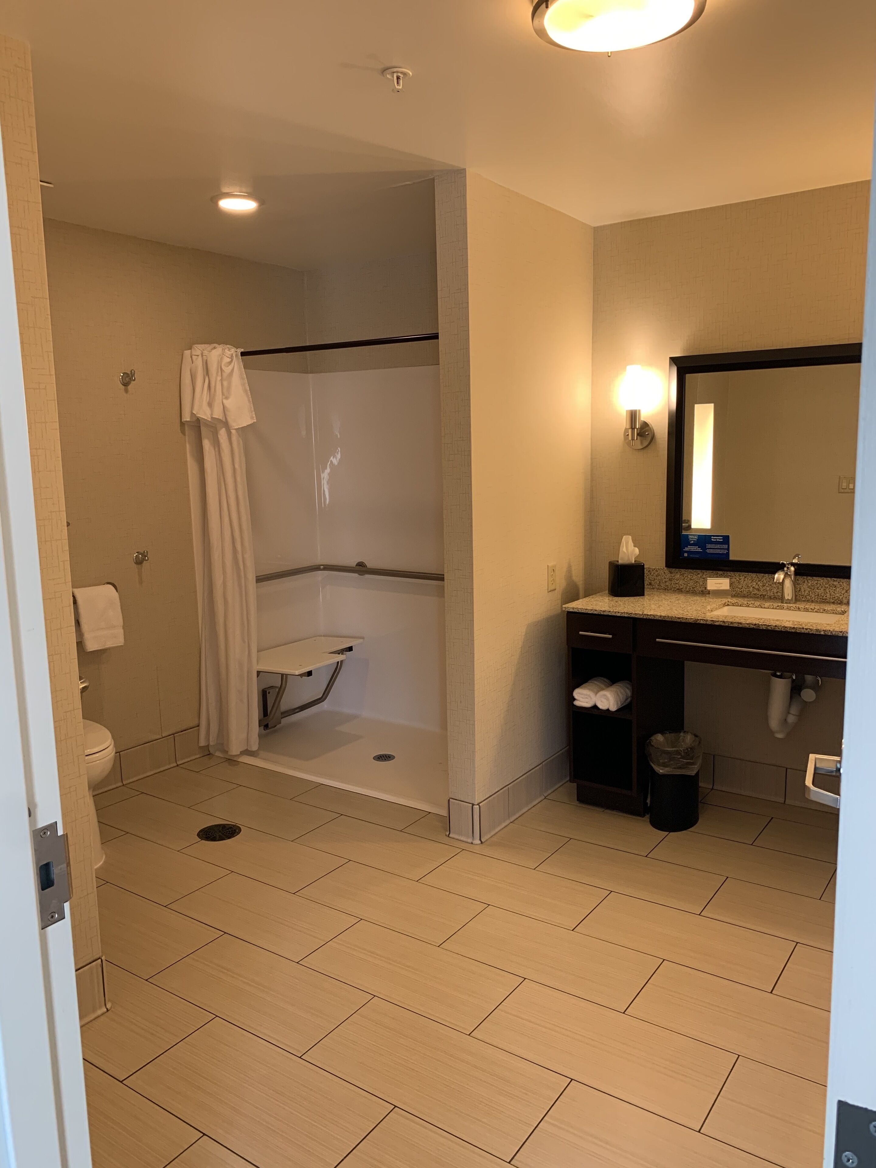 studio, 1 king bed, accessible, non smoking (roll in shower) | bathroom shower