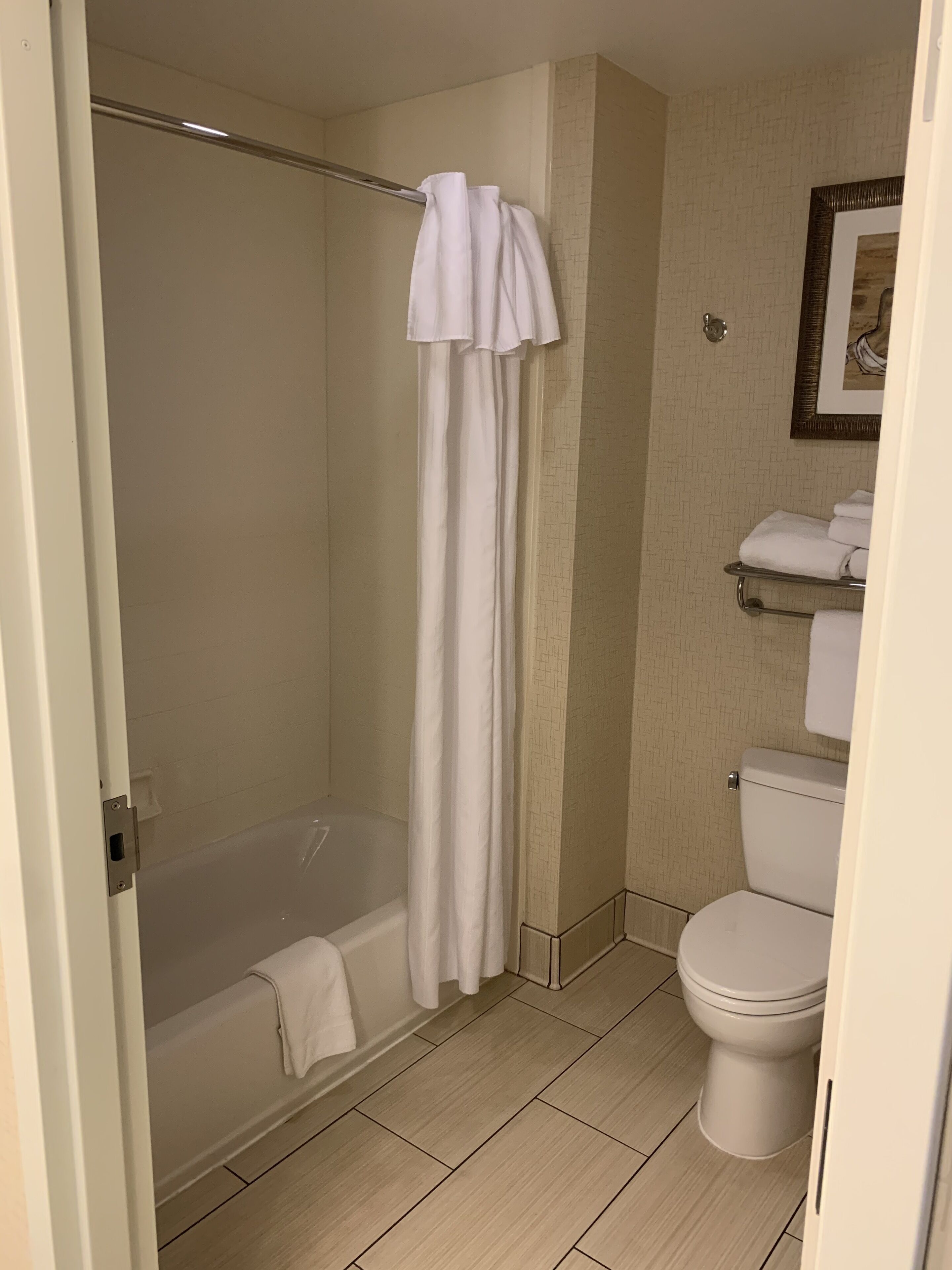 A bathroom with a shower, toilet, and towel rack.