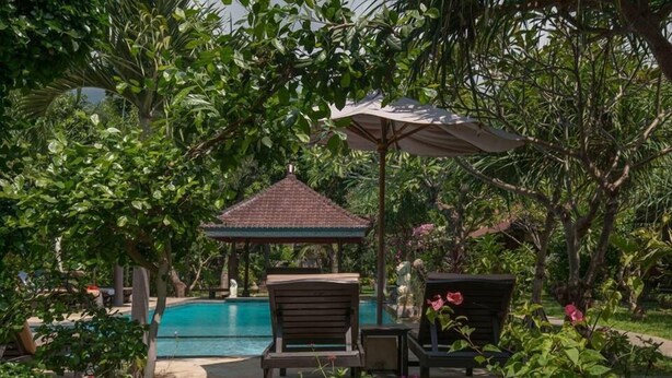 A pool area with lounge chairs, a gazebo, and lush greenery. - Tirta Sari Bungalows & Spa (Pemuteran)