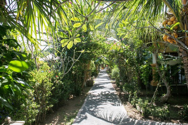 Jardin