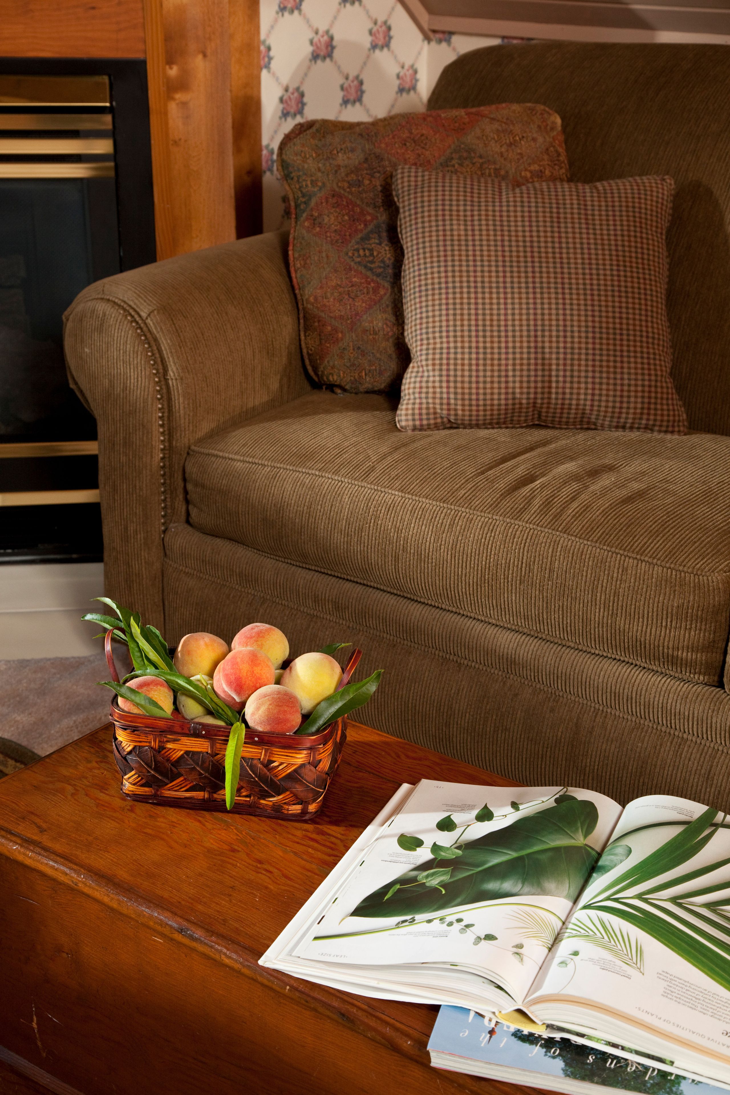 Un canapé marron avec des coussins à motifs, une table basse en bois sur laquelle se trouvent un livre et un panier de pêches.