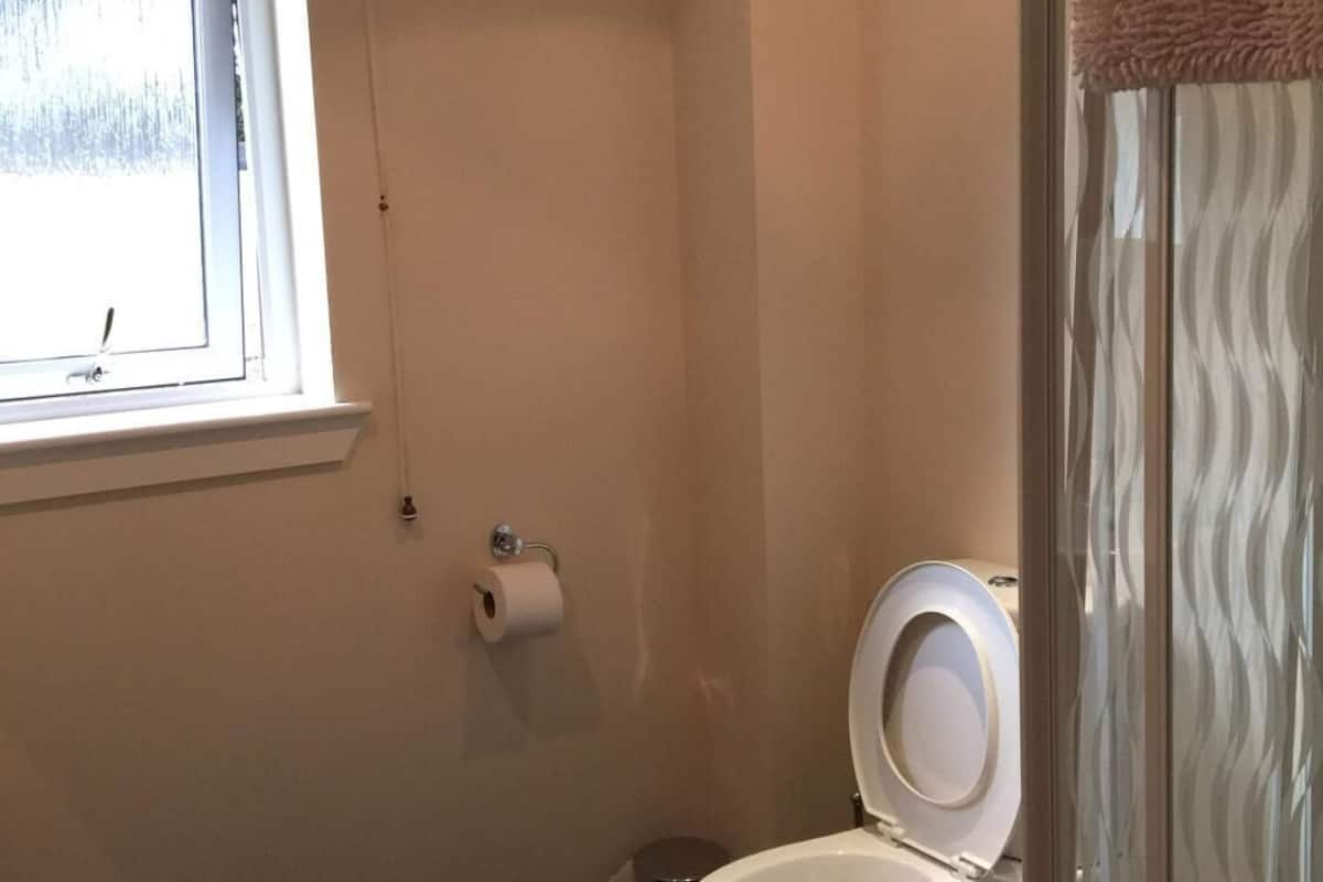 A small bathroom with a toilet, a window with a curtain, and a roll of toilet paper on the wall.