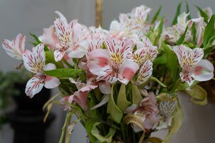 Un ramo de flores rosas y blancas con hojas verdes.