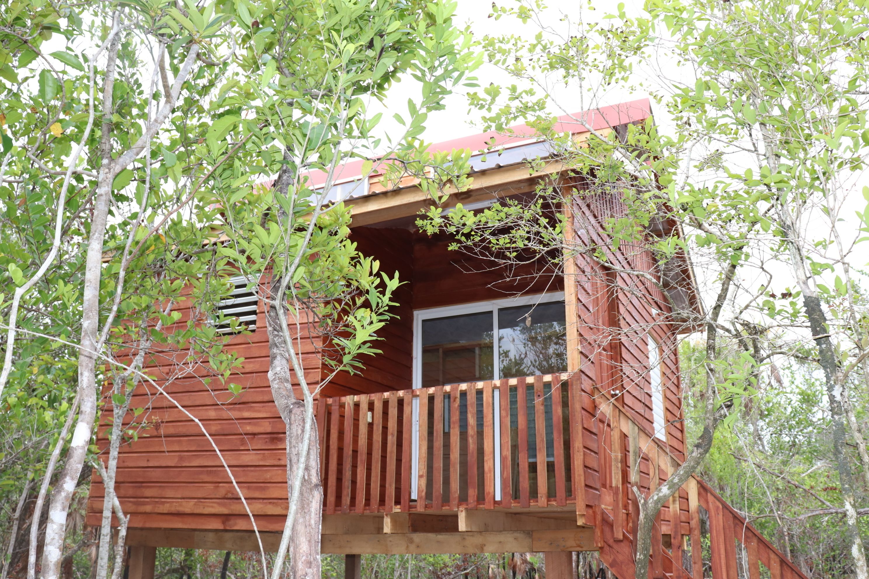 Palmento Grove Cultural &amp; Healing Institute