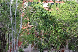 A building with a red roof and multiple windows, surrounded by dense green foliage. - Palmento Grove Eco Cultural & Fishing Lodge (Hopkins)