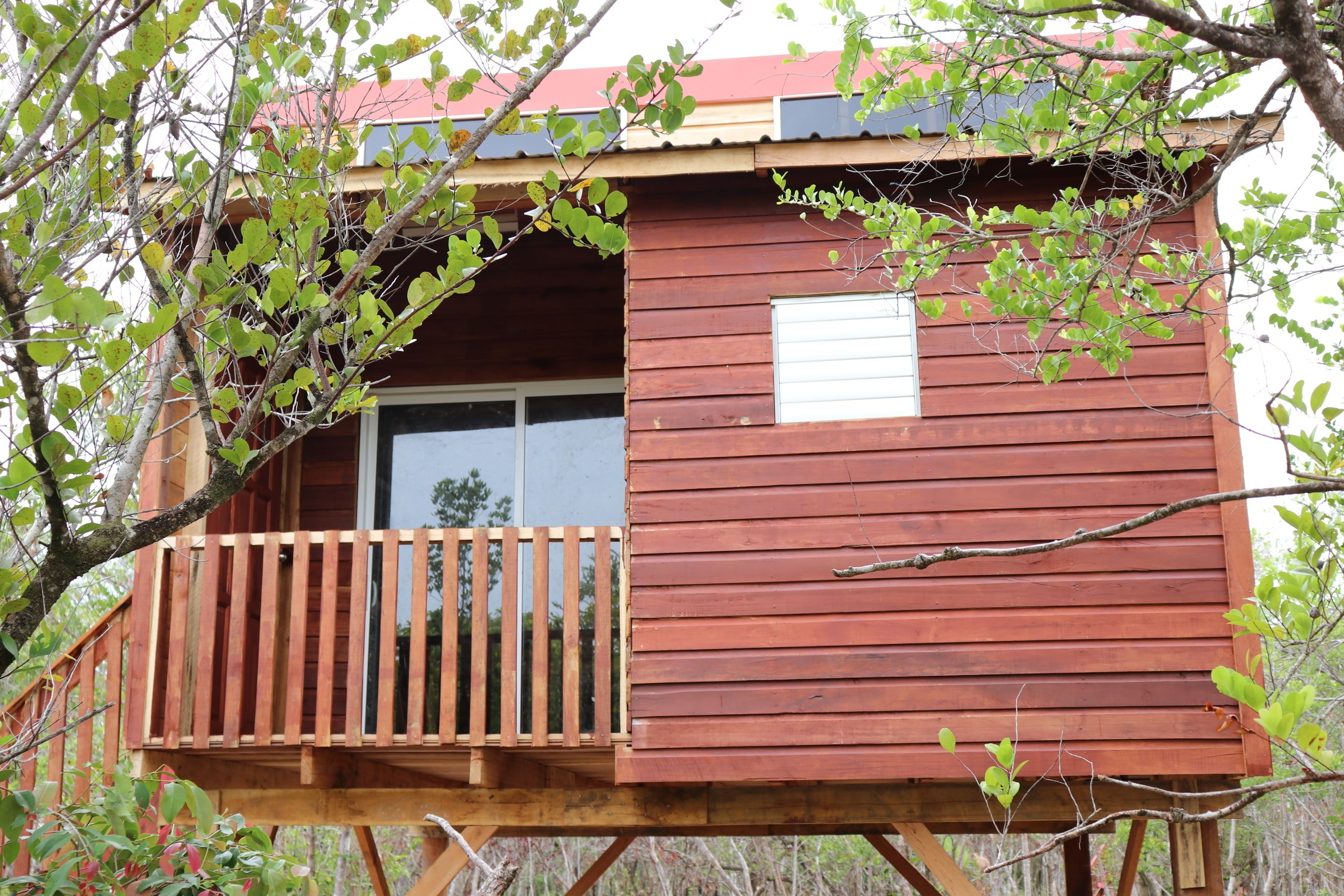 Palmento Grove Cultural &amp; Healing Institute