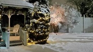 A snow-covered landscape with a gazebo, a snow-covered bush with lights, and a white picket fence. - White Lace Inn (Sturgeon Bay)